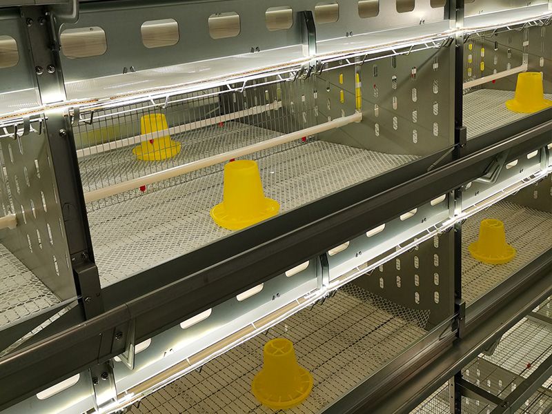 層疊式自動化育雛養殖設備