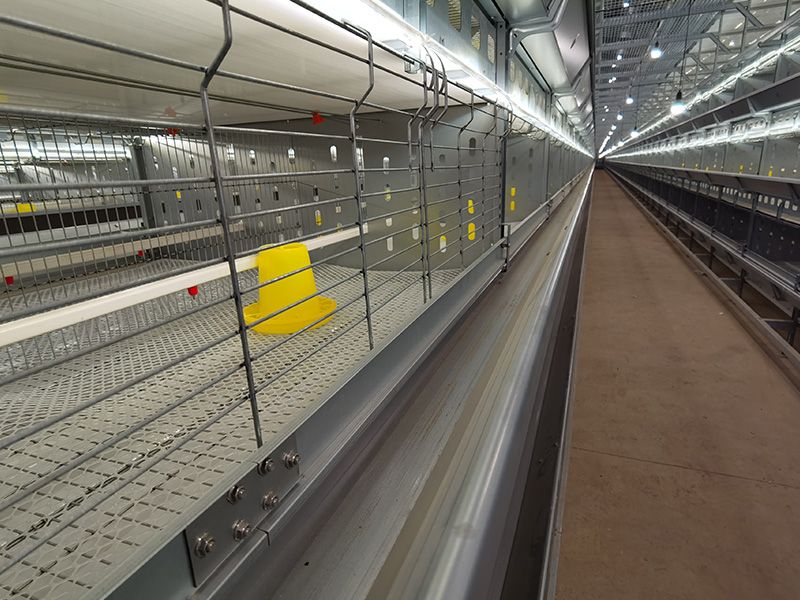 層疊式自動化育雛養殖設備