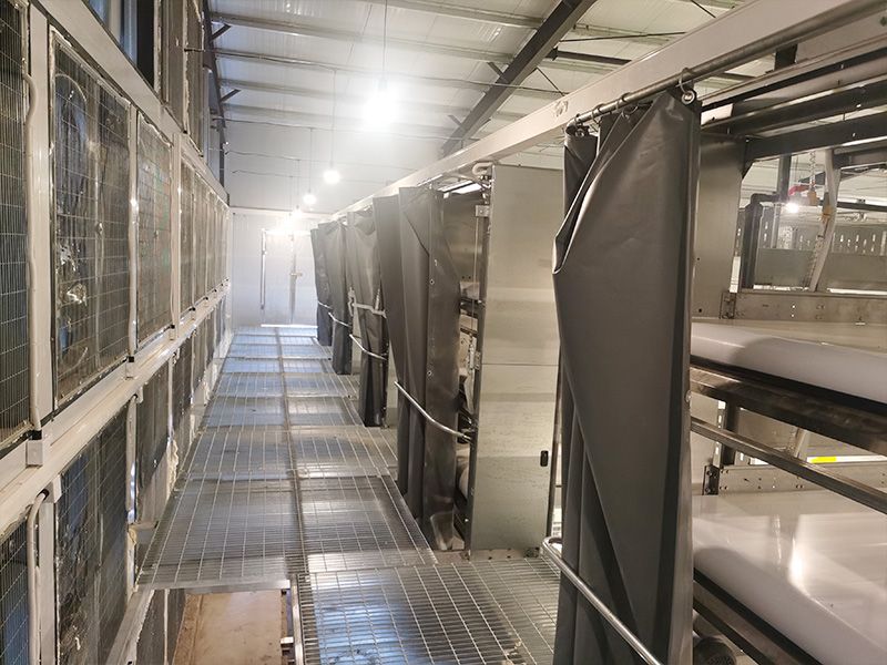 層疊式自動化育雛養殖設備