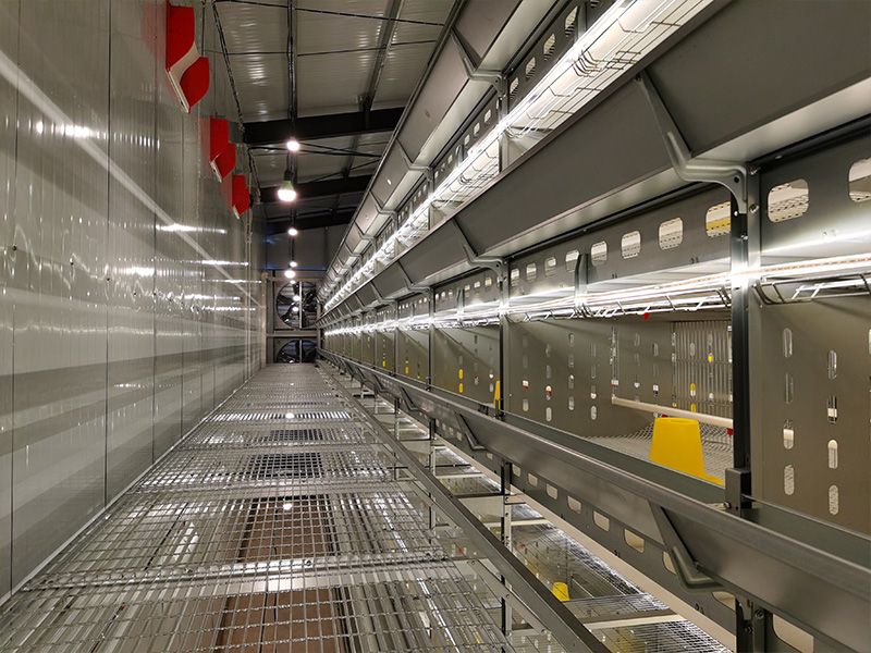 層疊式自動化育雛養殖設備