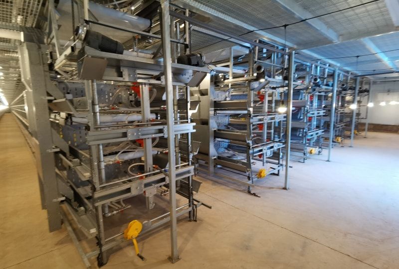 熱烈慶祝公司網站火爆上線